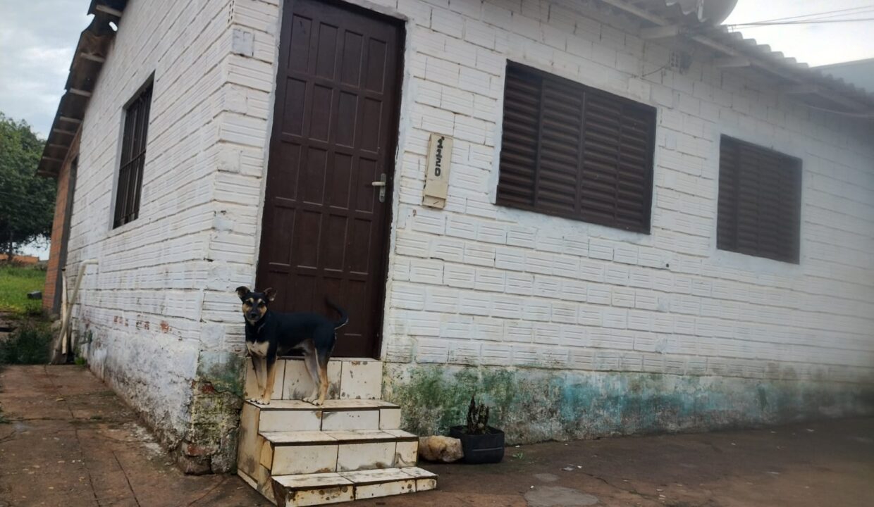 Imagem do WhatsApp de 2025-05-28 à(s) 11.12.12_e2880b99