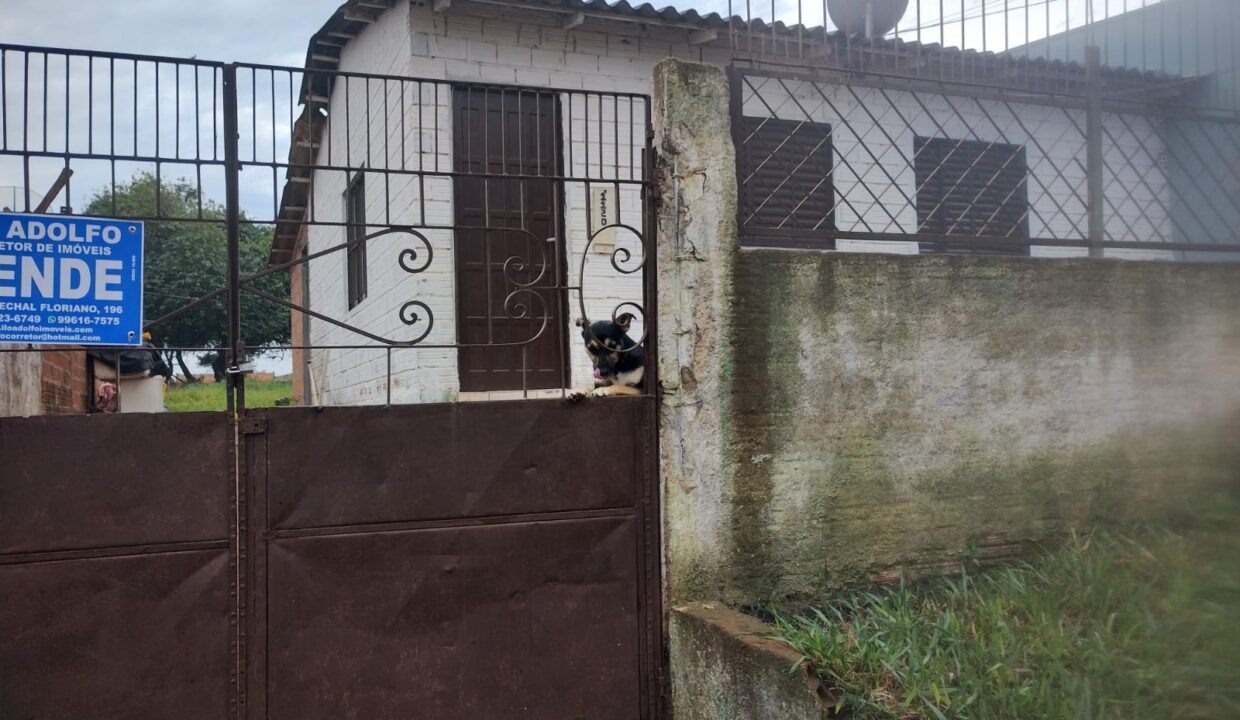 Imagem do WhatsApp de 2025-05-28 à(s) 11.12.13_2e36c0b6