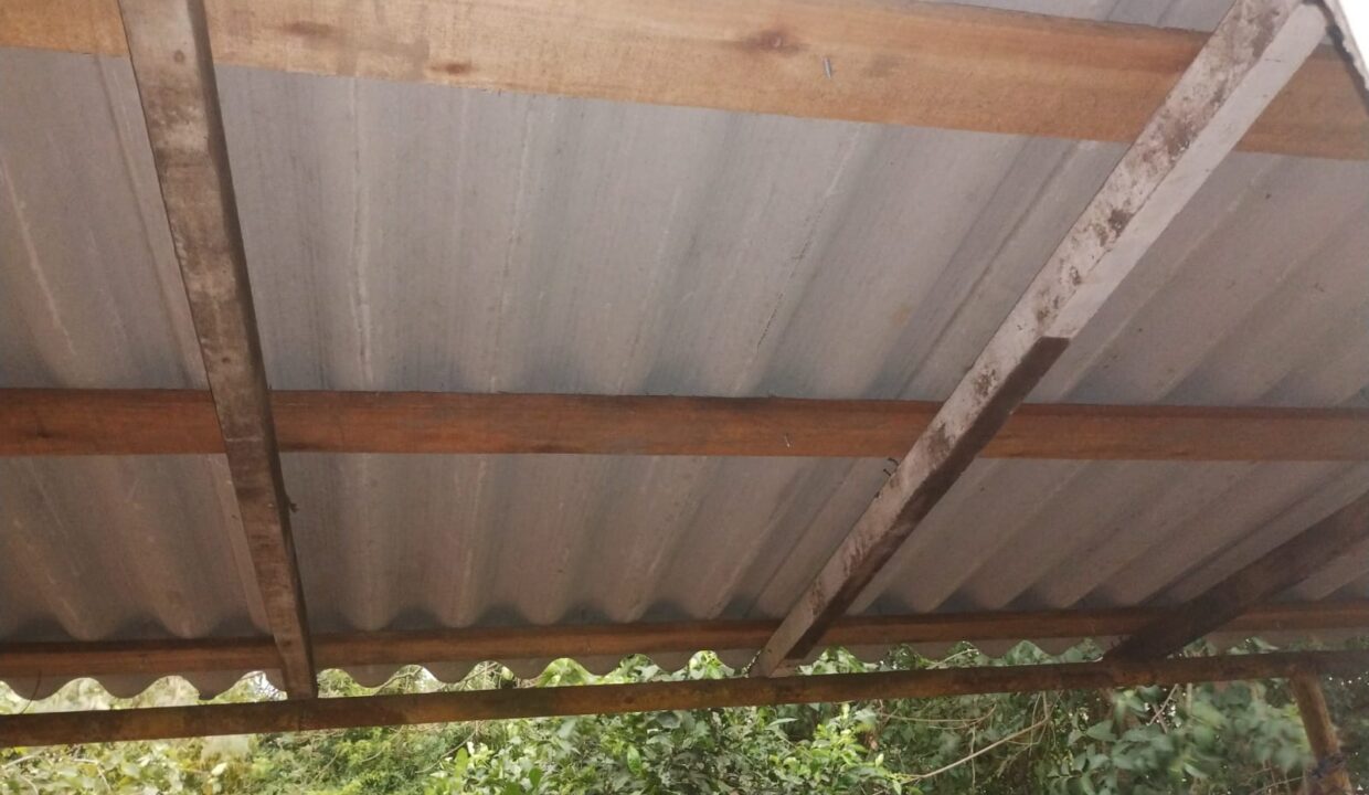 WhatsApp Image 2026-01-21 at 19.06.54dd