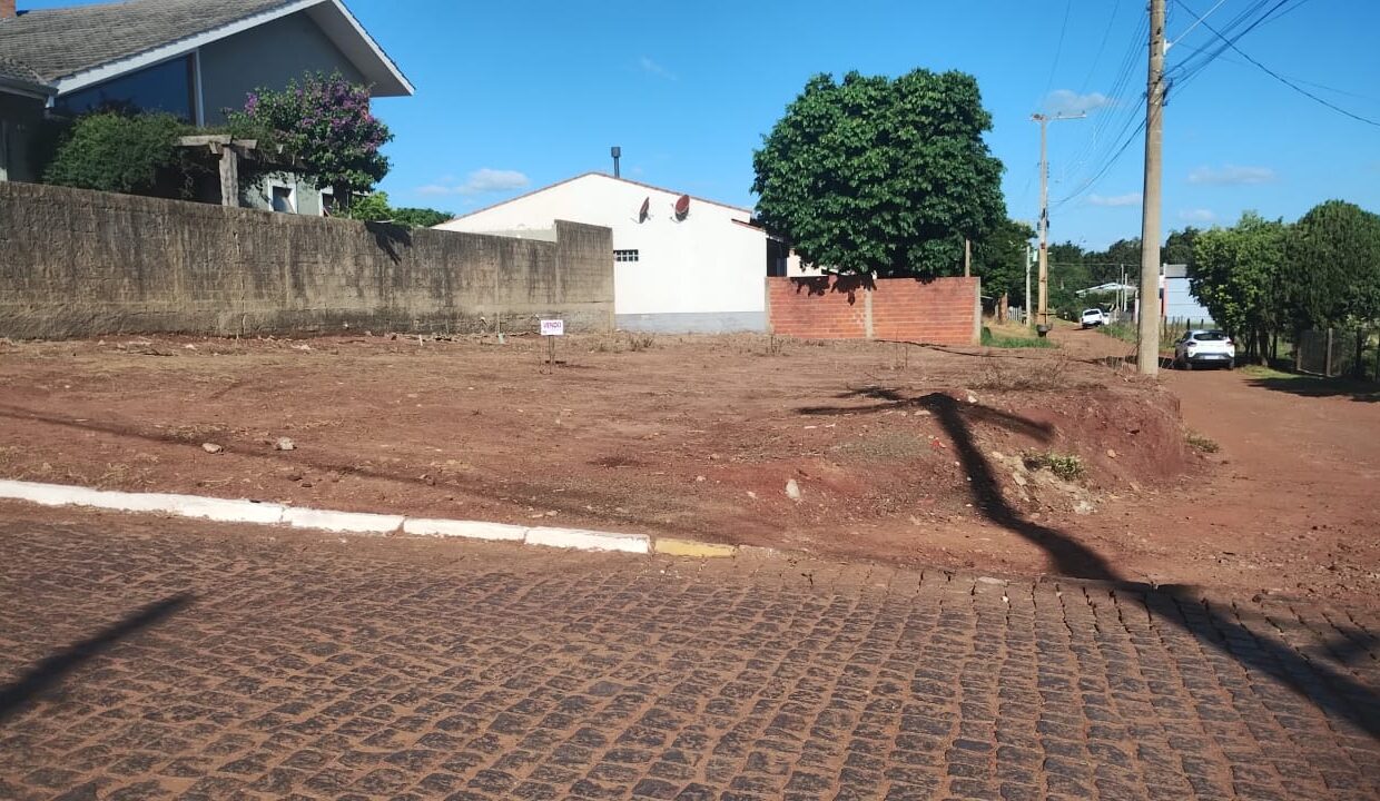 WhatsApp Image 2026-02-27 at 16.51.33ccc