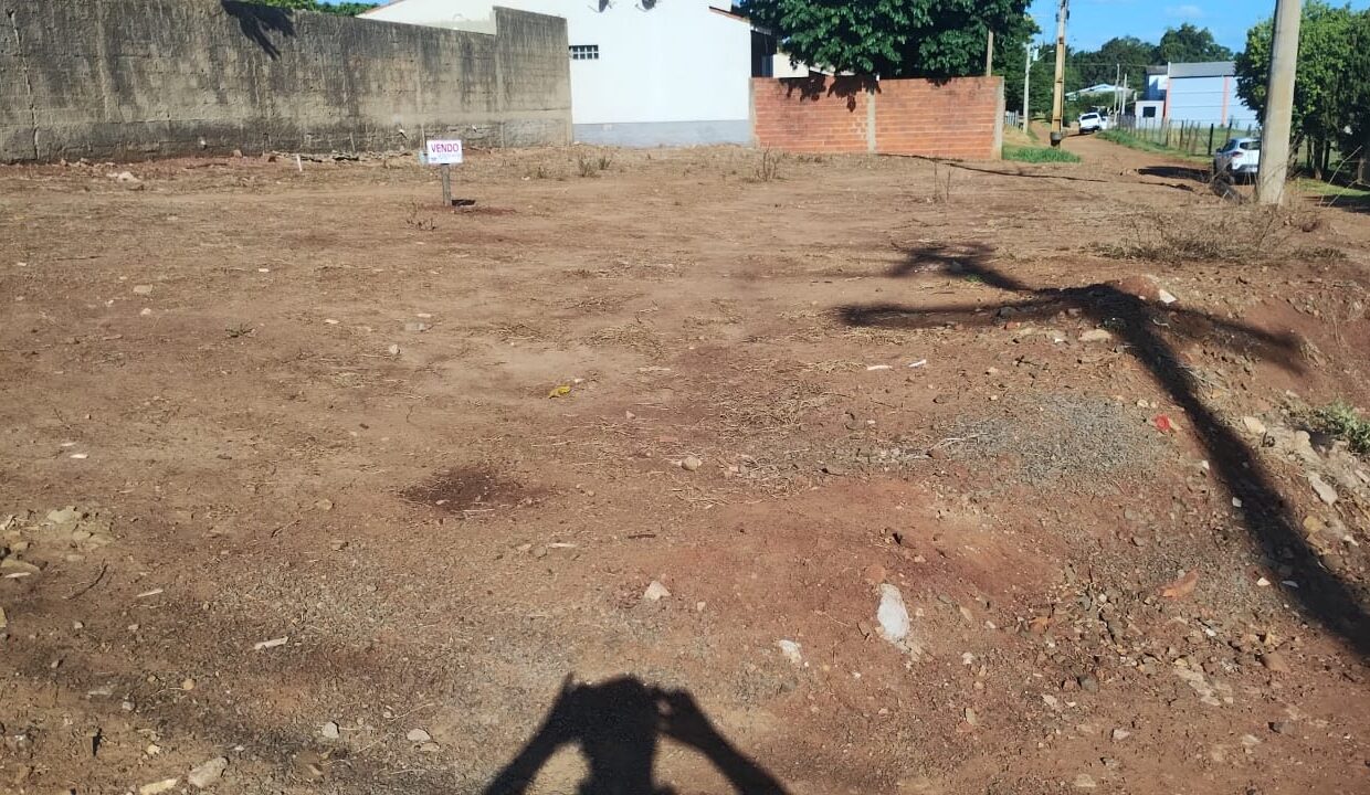 WhatsApp Image 2026-02-27 at 16.51.46sss